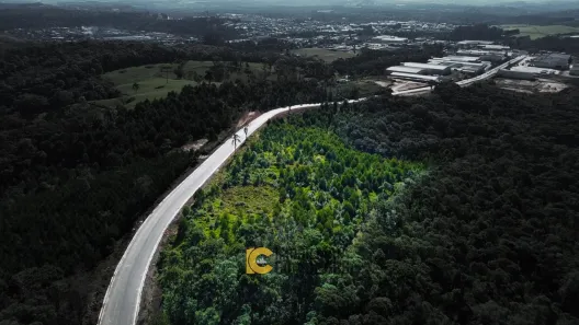 Lote/Terreno à venda, 28094m² no Industrial Sul, Rio Negrinho