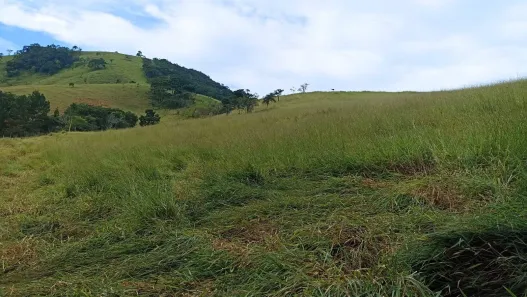 Fazenda/Sítio com 3 Quartos à venda, 200m² no Lajeado, Paraibuna
