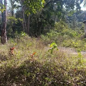 Lote/Terreno com 1 Quarto à venda, 8270m² no Embu Mirim, Itapecerica da Serra
