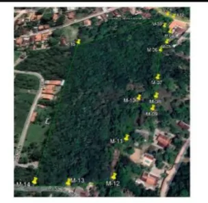 Lote/Terreno à venda, 36951m² no Maracanã, São Luís