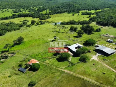 Fazenda/Sítio à venda, 1m² no , Colinas do Sul