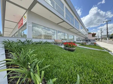 Ponto Comercial para alugar, 166m² no Brasília, Ivoti