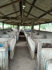 Fazenda/Sítio com 2 Quartos à venda, 27000m² no , Candeias do Jamari