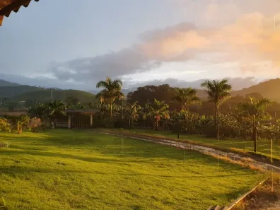 Fazenda/Sítio com 3 Quartos à venda, 31000m² no , Piau