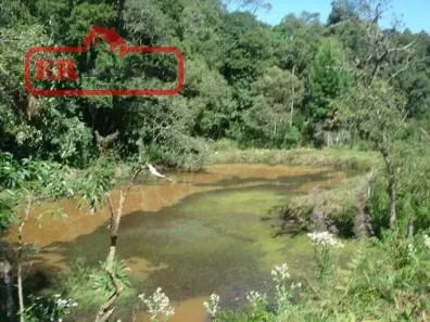 Fazenda/Sítio com 5 Quartos à venda, 197880m² no , Quitandinha