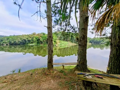 Fazenda/Sítio com 5 Quartos à venda, 16000m² no Centro, Juquitiba