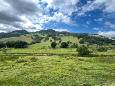 Fazenda/Sítio à venda, 140000m² no , Gonçalves