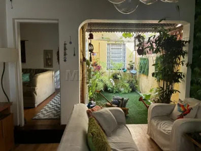 Casa com 2 Quartos à venda, 500m² no Santa Teresinha, São Paulo