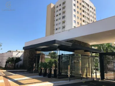 Apartamento com 2 Quartos à venda, 50m² no Jardim Morumbi, Londrina