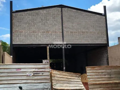 Galpão/Depósito/Armazém para alugar, 250m² no Taiaman, Uberlândia
