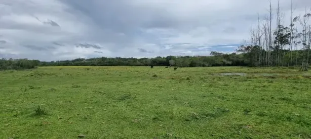 Fazenda/Sítio com 1 Quarto à venda, 130000m² no Fiuza, Viamão