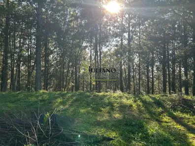 Lote/Terreno à venda, 1040m² no , Rancho Queimado