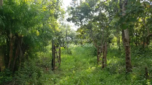 Lote/Terreno à venda, 2000m² no Centro, Santo Antônio de Leverger