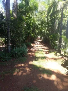 Fazenda/Sítio à venda, 31m² no Zona Rural, Ibiporã