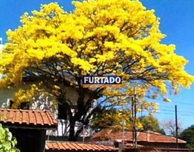 Sobrado com 3 Quartos à venda, 165m² no Vila Alpina, Santo André