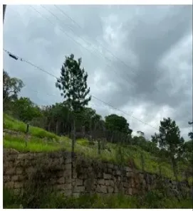 Lote/Terreno à venda, 508200m² no Santa Luzia, Ribeirão Pires