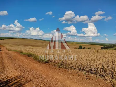 Fazenda/Sítio com 1 Quarto à venda, 100m² no , Bom Sucesso
