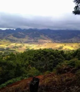 Lote/Terreno à venda, 12000m² no , Gonçalves