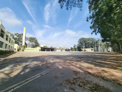 Lote/Terreno para alugar, 3688m² no Jardim São Cristóvão, São Paulo