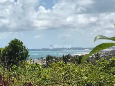 Lote/Terreno à venda, 4519m² no Sibaúma, Tibau do Sul