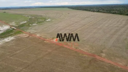 Fazenda/Sítio à venda, 30008000m² no Setor Central, Araguaína