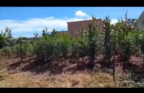 Lote/Terreno à venda, 320m² no Setor Franco, Aparecida de Goiânia