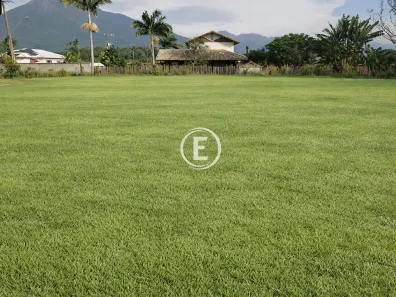Lote/Terreno à venda, 300m² no Guarda do Cubatão, Palhoça