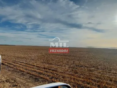 Fazenda/Sítio à venda, 500m² no , Benedito Leite