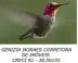 Miniatura da foto de Genizia Moraes Corretora De Imóveis