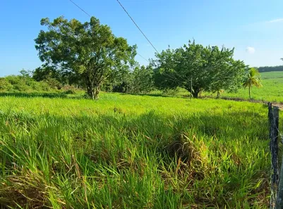 Fazenda/Sítio com 4 Quartos à venda, 182500m² no Centro, Maruim