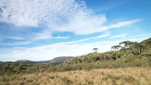 Lote/Terreno à venda, 20000m² no , Urubici