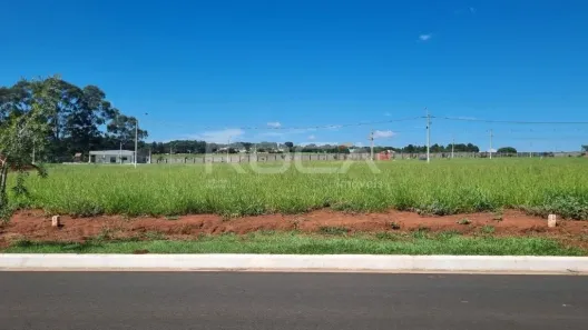 Lote/Terreno à venda, 250m² no Residencial Samambaia, São Carlos