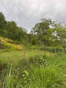 Fazenda/Sítio à venda, 10m² no Pedro do Rio, Petrópolis