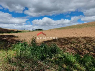 Fazenda/Sítio com 1 Quarto à venda, 18000m² no Área Rural de São José dos Pinhais, São José dos Pinhais