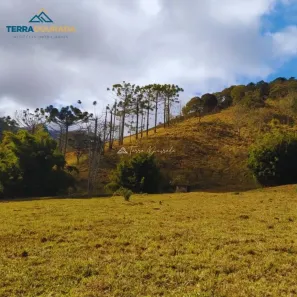 Lote/Terreno à venda, 54600m² no , Santo Antônio do Pinhal