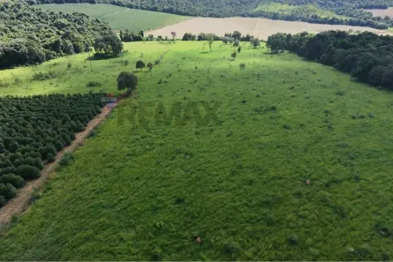 Fazenda/Sítio à venda, 14253m² no , Carmo do Rio Claro