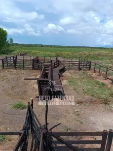 Fazenda/Sítio à venda, 72600000m² no , São Félix do Xingu