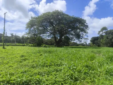 Lote/Terreno à venda, 600m² no Aldeia dos Camarás, Camaragibe