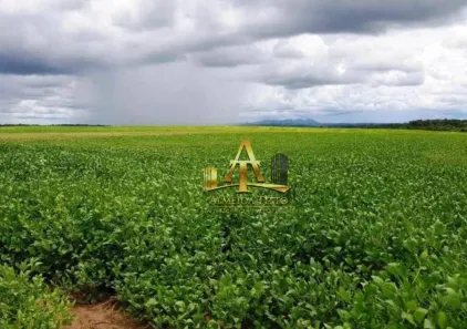 Fazenda/Sítio com 1 Quarto à venda, 450m² no Alto da Colina, Carolina
