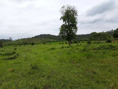 Lote/Terreno à venda, 20000m² no Guamiranga, Guaramirim