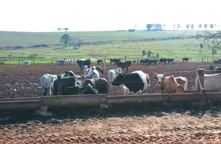 Fazenda/Sítio à venda, 2635000m² no Zona I, Umuarama