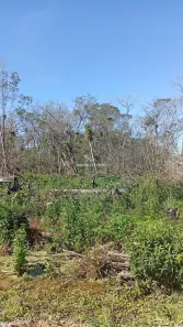 Lote/Terreno à venda, 204m² no , Itapoá