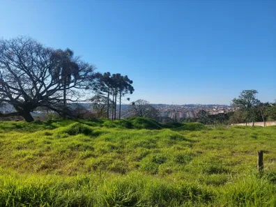 Lote/Terreno à venda, 5000m² no Contorno, Ponta Grossa