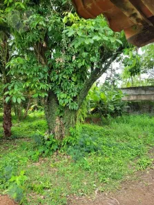 Lote/Terreno à venda, 450m² no Engenho do Mato, Niterói