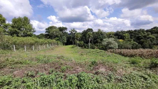 Lote/Terreno à venda, 12m² no Linha Leopoldina, Bento Gonçalves