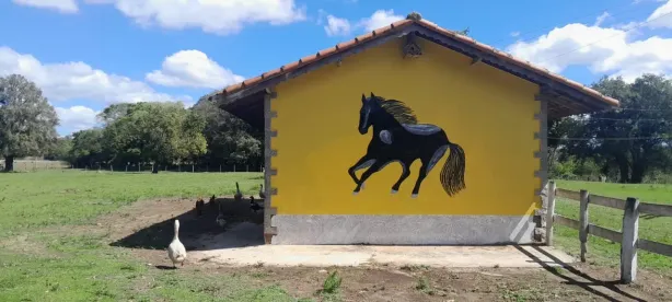 Fazenda/Sítio com 3 Quartos à venda, 653400m² no , Campina do Monte Alegre