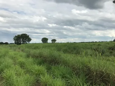 Fazenda/Sítio com 3 Quartos à venda, 8220000m² no , Flores de Goiás