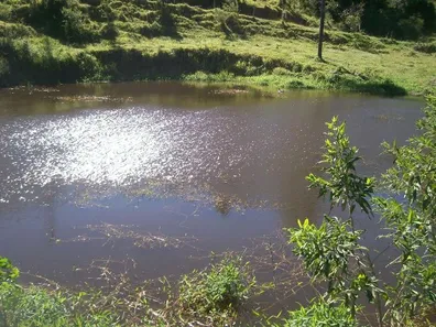Fazenda/Sítio com 2 Quartos à venda, 242000m² no Área Rural de Amparo, Amparo