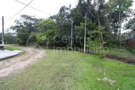 Lote/Terreno à venda, 350m² no Jardim Sao Luis, Peruíbe