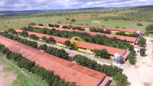 Fazenda/Sítio com 3 Quartos à venda, 8m² no , Pocinhos